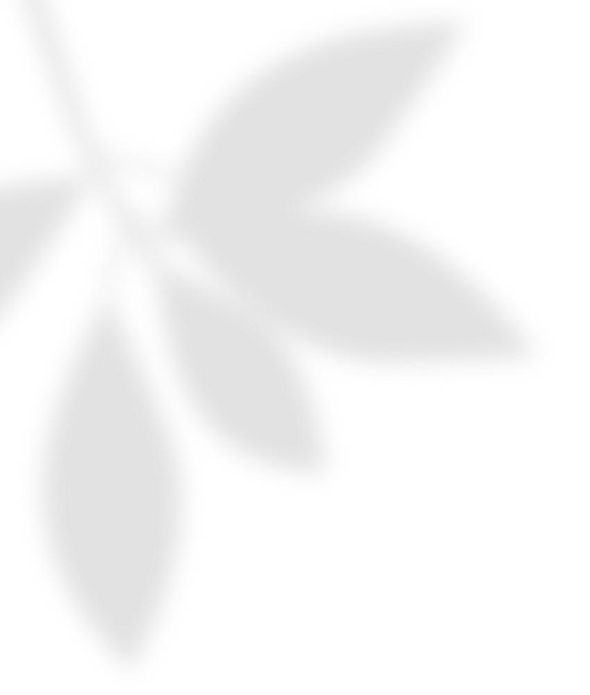 Background Pattern